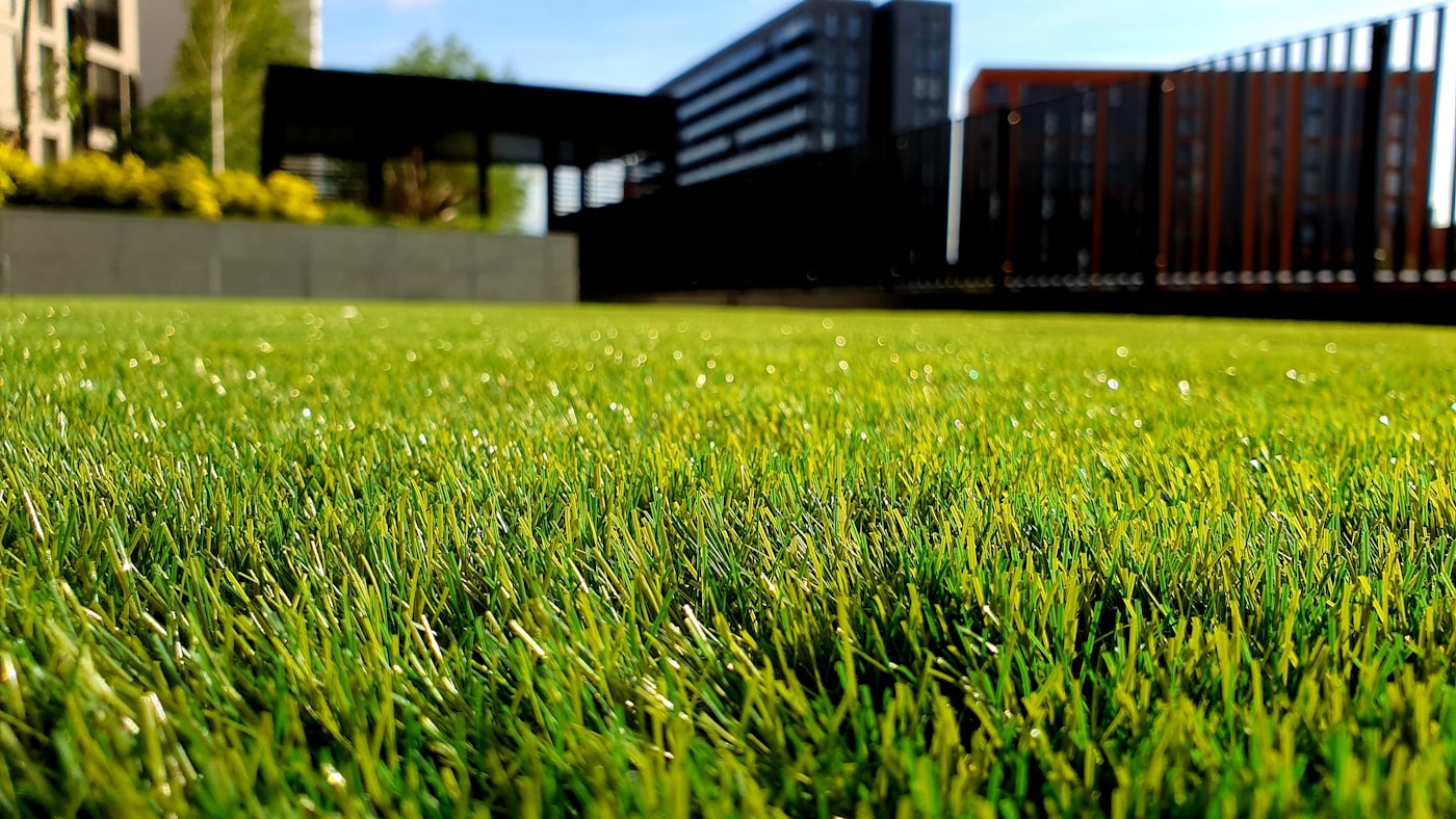Open green lawn after stump work and yard restoration