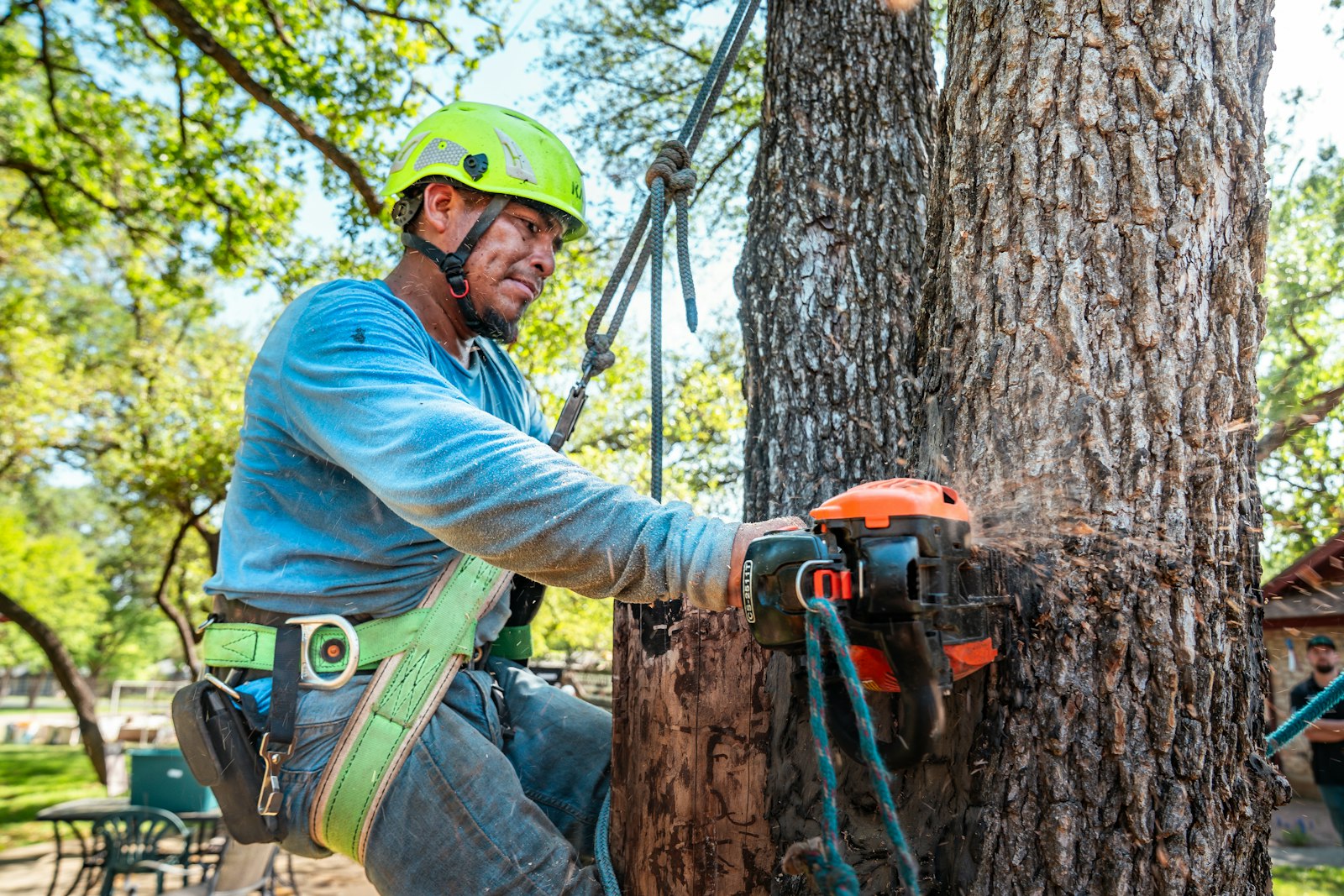 Arborist using a chainsaw to carefully remove a tree section in a residential yard near patio furniture